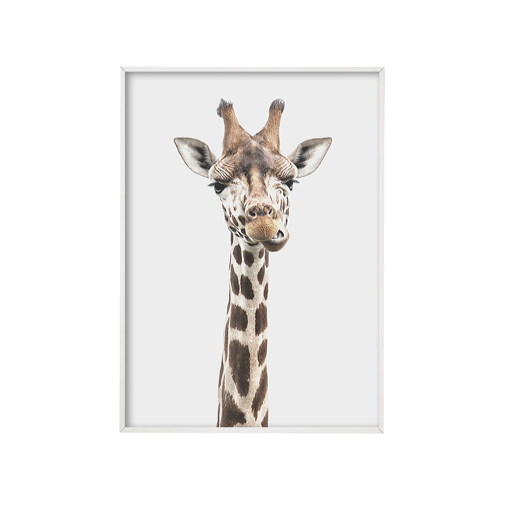 Poster | giraf