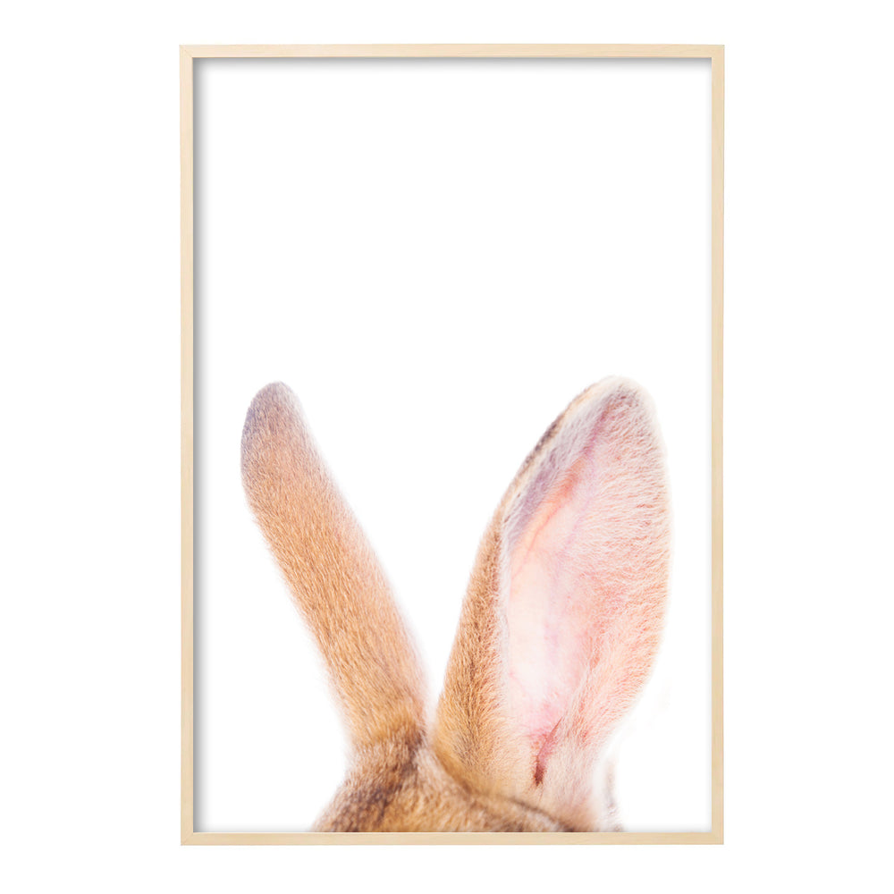 Poster | bunny ears